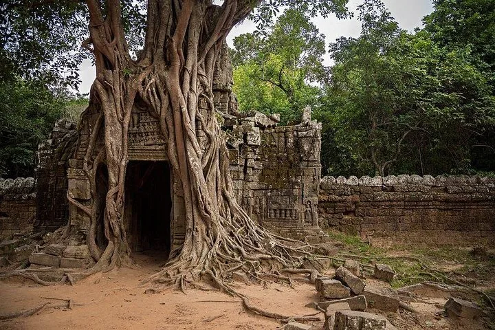 grandes racines d'arbres recouvrant l'entrée d'un ancien temple en pierre