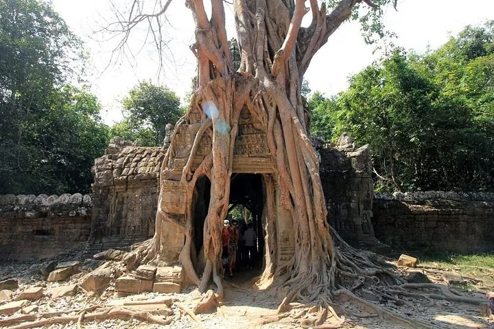 grandes racines d'arbres recouvrant l'entrée d'un ancien temple en pierre